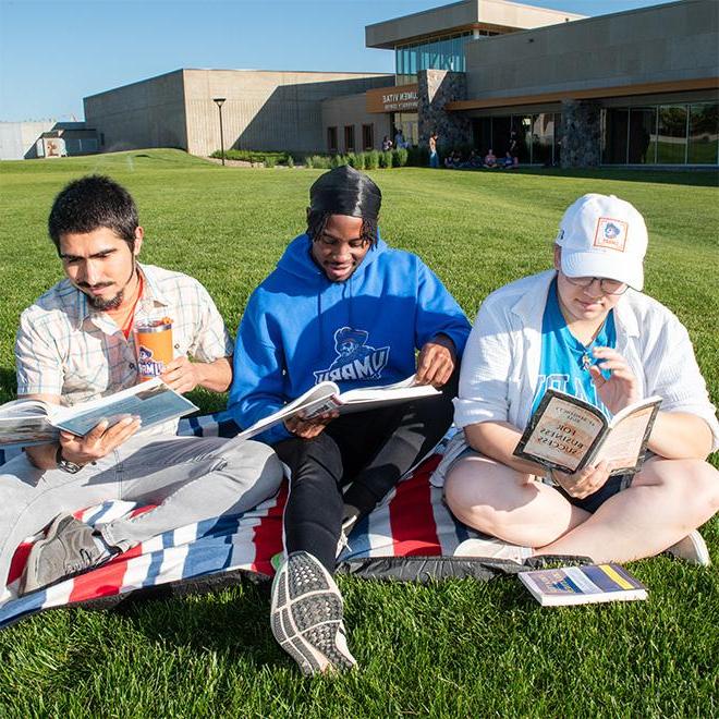 Students studying outside on the lawn